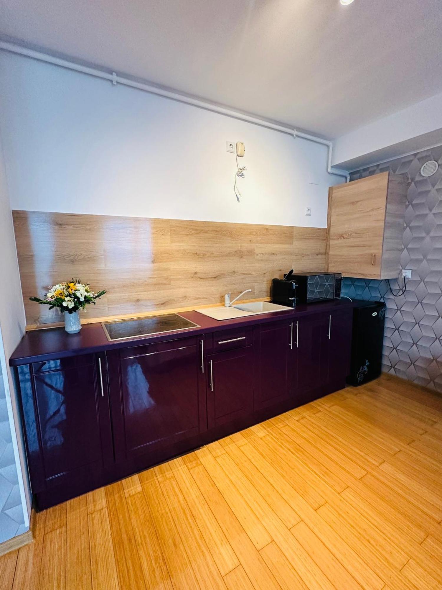Lira Beach Studio Mamaia Kültér fotó